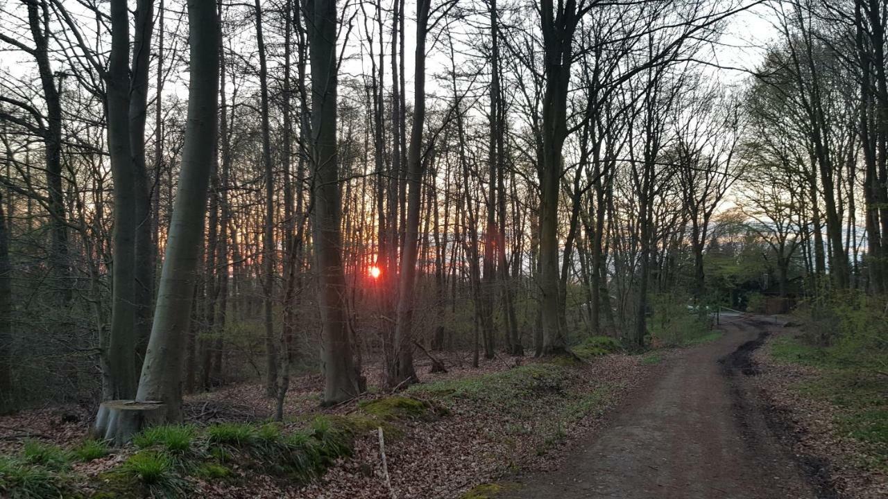 Moin, Moin & Ahoi! Lejlighed Kiel Eksteriør billede